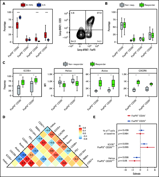 Regulatory T-cell phenotype is associated with ex vivo response to BsAbs. Shown is a representative contour plot of regulatory T cells, which were identified as viable CD3+CD4+FoxP3+CD25+/− cells of the total CD4+ T cells. Shown are 42 (A) or 33 biologically independent (B-C) samples. Box plots in panel C of the indicated markers show either the median fluorescence intensity (MFI) or the frequency of positive (+) cells of total FoxP3+CD25+/− T cells. Differences between both response groups or between B-NHL and reactive lymph node (rLN) samples were evaluated by using the two-sided Wilcoxon’s test. P values were corrected for multiple testing by using the Benjamini-Hochberg procedure. (D) Additional markers were determined in 15 biologically independent samples and correlated among each other. Spearman’s correlation coefficients (R) are displayed if the absolute R value was ≥0.4. (E) Forest plot illustrating a multivariate logistic regression with the indicated covariates and response status (responder, nonresponder) as dependent variable. The model was calculated separately for FoxP3+CD25+/− regulatory T cells. ***≙ P ≤ .001; *≙ P ≤ .05; missing asterisks indicate P > .05.
