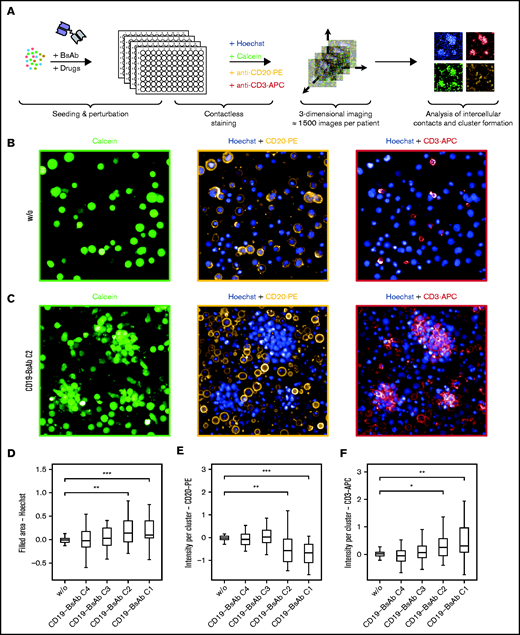 BsAbs induce clustering of T cells and B cells. (A) Schematic overview of the confocal microscopy experimental set-up. (B-F) Lymph node–derived lymphocytes (n = 27 biologically independent samples) were seeded into 384-well microscopy plates and incubated for 7 days without (w/o) or with CD19-BsAb at 4 different concentrations (C1-C4). After 7 days, cells were stained with Hoechst, calcein, anti-CD20 PE-conjugated, and anti-CD3 APC-conjugated antibodies. Shown are representative images for the untreated condition in panel B and the CD19-BsAb–treated condition in panel C separated by channel as indicated. The filled area of clusters was quantified (panel D) and the intensity of CD20-PE (panel E) or CD3-APC (panel F) within these clusters was determined. All conditions were tested for significance vs untreated control (w/o) using the two-sided Wilcoxon’s test. P values were corrected for multiple testing by using the Benjamini-Hochberg procedure. *** ≙ P ≤ .001; ** ≙ P ≤ .01; * ≙ P ≤ .05; missing asterisks and/or horizontal brackets indicate P > .05. APC: allophycocyanin; PE: phycoerythrin.