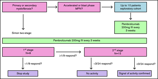 Study schema. Patients with primary or secondary MF enrolled in the Simon two-stage design; if <1 of 9 responded, the study would not proceed to stage 2. In addition, there was an exploratory cohort for accelerated and blast phase disease. Pembrolizumab 200 mg was administered intravenously (IV) once every 3 weeks.