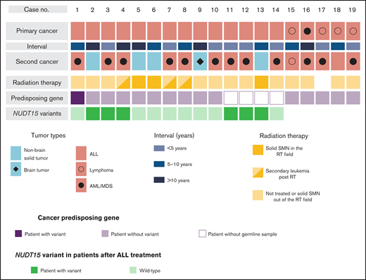 Overview of patient characteristics and genetic variations in SMNs. The subtypes of primary cancers and SMNs, intervals between primary cancers and SMNs, cancer-predisposing gene variants, and NUDT15 variants in patients with SMNs after ALL treatment are shown. NUDT15 genotype was evaluated using WES data (n = 10) and direct sequencing (n = 4). AML, acute myeloid leukemia; MDS, myelodysplastic syndrome; RT, radiation therapy.