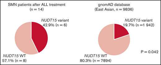 NUDT15 variant frequency in patients with SMNs after ALL treatment. Comparisons of the frequency of NUDT15 variant cases between the SMN cohort and gnomAD database are shown. Six (42.9%) of 14 patients with SMNs after ALL treatment had NUDT15 heterozygous variants, whereas prevalence in the general East Asian population in the gnomAD database was 19.7%. (P = .042). WT, wild type.