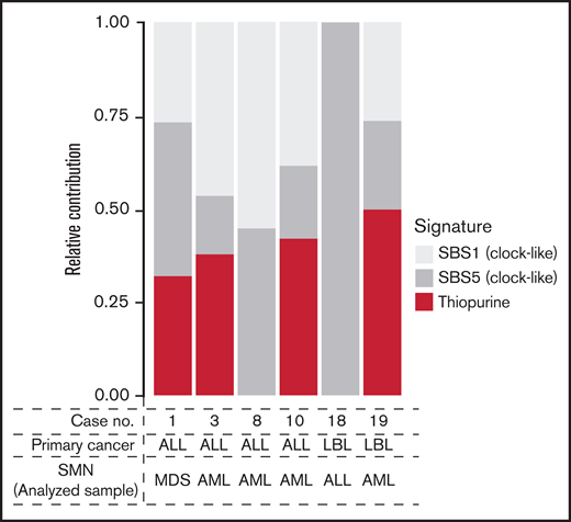 Relative contribution of therapy-related signatures in the 6 cases with available SMN samples. AML, acute myeloid leukemia; LBL, lymphoblastic lymphoma; MDS, myelodysplastic syndrome; SBS, single base substitution.
