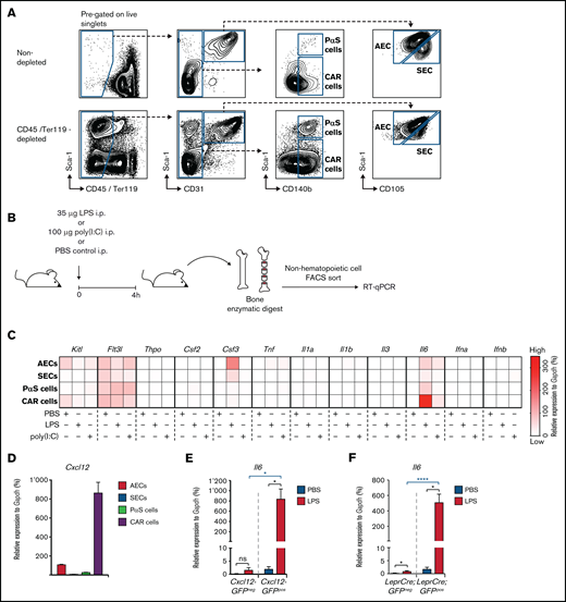 Expression of hematopoietic growth factors and inflammatory cytokines in non-hematopoietic BM stromal cell subpopulations after a single LPS injection. (A) Representative FACS profiles showing non-hematopoietic cell types of the BM microenvironment, either non-depleted (upper panel) or with MACS column-based CD45/Ter119 depletion (lower panel) (AEC, SEC, PαS cells, and CAR cells). (B) Graphical scheme depicting experimental outline for the induction of LPS- or poly(I:C)–induced inflammation and subsequent isolation of non-hematopoietic BM cells. (C) Gene expression of 12 hematopoietic growth factors and inflammatory cytokines from PBS-, LPS-, or poly(I:C)–injected WT mice from 3 independent experiments. Relative expression normalized to Gapdh from qRT-PCR is depicted as a heat map. (D) Cxcl12 expression levels in BM AECs, SECs, PαS cells, and CAR cells were assessed by qRT-PCR and normalized to Gapdh. Il6 expression normalized to Gapdh in BM non-hematopoietic (CD45–Ter119–) GFPpos and GFPneg cells from Cxcl12-GFP (E) and LeprCre;GFP mice (F), respectively. *P < .05, ****P < .0001). Csf2, colony-stimulating factor 2 (granulocyte-macrophage); Csf3, colony-stimulating factor 3 (granulocyte); Flt3l, FMS-like tyrosine kinase 3 ligand; Ifna, interferon-α; Ifnb, interferon-β; Il1a, interleukin-1α; Il1b, interleukin-1β; Il3, interleukin-3; Il6, interleukin-6; i.p., intraperitoneal; Kitl, kit ligand; ns, not significant; Thpo, thrombopoietin; Tnf, tumor necrosis factor.