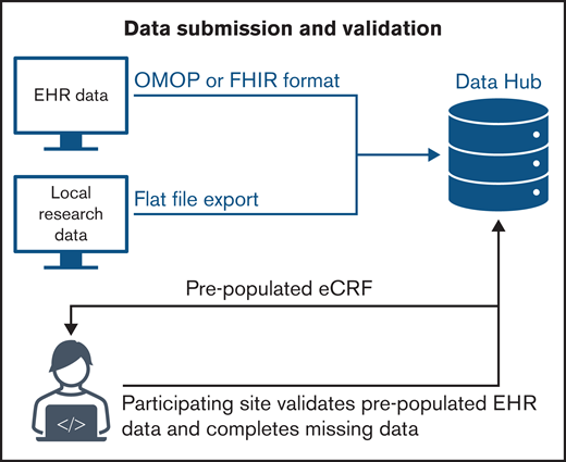 The ASH RC Data Hub model for data submission and validation.