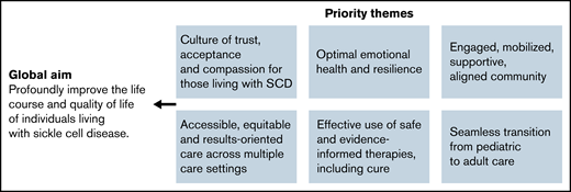 SCD LC global aims and priority themes.