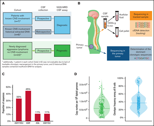 Analysis of clonotypic DNA in primary tumors from aggressive B-cell lymphomas. (A) Subject selection for analysis; the study included 3 groups: 2 groups of patients with known CNS involvement, using prospectively collected CSF (n = 7) and retrospectively obtained, previously extracted CSF DNA (n = 8), in which the NGS-MRD assay was used as a diagnostic modality, and a prospective cohort (n = 22) of patients with newly diagnosed, aggressive lymphoma and no CNS involvement, in whom the NGS-MRD assay was used as a prognostic biomarker. (B) The NGS-MRD assay includes NGS of the primary lymphoma tumor to determine the dominant clonotypic sequence, which can be subsequently “tracked” in plasma or CSF samples containing tumor-derived clonotypic DNA. (C) Distribution of clonotypic sequences (n = 139) from different loci detected by the NGS-MRD assay in all primary tumors (n = 37) in this study (see supplemental Table 1 for a complete list of sequences). (D) Violin plots showing the distribution of copy numbers (per 106 diploid genomes) and frequencies (among all B cells) of clonotypic sequences from the primary lymphoma tumor samples (n = 37). Horizontal line shows the median; box shows interquartile range. IQR, interquartile ranges.