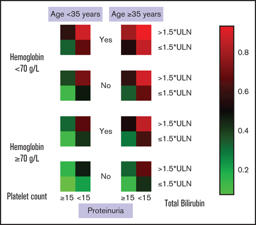 Individualized risk prediction for 6-month mortality in patients with TA-TMA. Heat map based on the BATAP prognostic model. Patient profile include 5 independent prognostic factors: age, hemoglobin, platelet count, TBIL, and proteinuria.