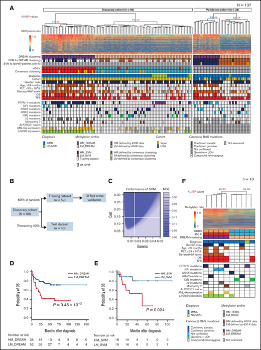 Classifier construction for risk stratification of patients with JMML using DREAM. (A) Patients with JMML or NS/MPD (discovery cohort, n = 99; validation cohort, n = 38) were subjected to unsupervised hierarchical clustering using DREAM data. The heat map displays the methylation ratios calculated for a selected subset of 1000 CpG sites with high differential average methylation levels between HM_DREAM and LM_DREAM subgroups. The methylation ratios were color coded, with a gradual change from blue (0% methylation) to red (100% methylation). Known clinical and biological features were annotated for each patient. Each column indicates 1 patient. (B) Schematic outline of the SVM classifier construction using DREAM data. (C) Performance of SVM. This plot shows the performance of various models using color coding. Darker regions with lower mean square error (MSE) indicate better accuracy. (D) OS of patients with JMML in the discovery cohort using clustering with DREAM data. (E) OS of patients with JMML in the validation cohort using SVM with DREAM data. (F) Patients with JMML (n = 9) and NS/MPD (n = 1) were subjected to unsupervised hierarchical clustering using RRBS data. The heat map displays the methylation ratios calculated for a select 1000 CpG sites with high differential average methylation levels between HM (HM_RRBS) and LM (LM_RRBS) subgroups. HbF, fetal hemoglobin; LOH, loss of heterozygosity; PLT, platelet.