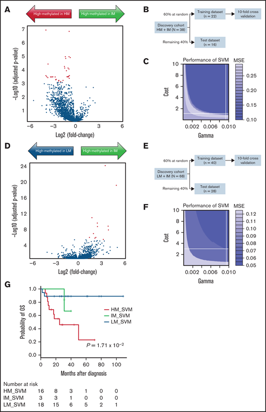 Construction of SVM to identify patients with IM. (A) Using DREAM data of the 38 cases from the discovery cohort that were known to belong to consensus HM (n = 30) and consensus IM (n = 8) subgroups, a volcano plot showing DNA methylation fold changes and P values between consensus HM and IM subgroups was constructed. Red dots indicate 35 CpG sites that showed a distinct difference (>0.3) in mean methylation level. (B) To develop an SVM that classified HM and IM, 60% of the samples were randomly assigned to the training data and the remaining 40% to the test data. (C) In the best SVM model, optimal γ, cost parameter, and MSE were 0.0095, 1.05, and 0.1, respectively. (D) Volcano plot shows DNA methylation fold changes and P values between consensus LM (n = 60) and IM (n = 8) subgroups from the discovery cohort. Red dots indicate 12 CpG sites that showed a distinct difference (>0.3) in mean methylation level. (E) To develop an SVM that classified LM and IM, 60% of the samples were randomly assigned to the training data and the remaining 40% to the test data. (F) In the best SVM model, optimal γ, cost parameter, and MSE were 0.0095, 3.02, and 0.05, respectively. (G) Using these SVM models, 3 of the 38 patients in the validation cohort were classified as belonging to the IM subgroup (IM_SVM). Kaplan-Meier curves for OS were presented using data from 37 cases, excluding 1 case of NS/MPD.