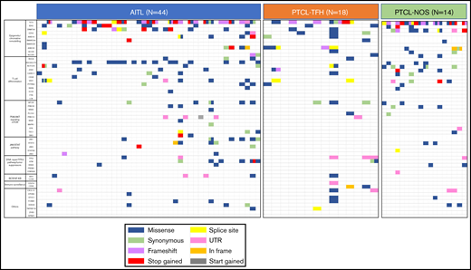 Distribution of mutations in the 62 analyzed genes in the whole series of 76 tumor samples. Analysis of genomic alterations by target sequencing panel for primary lymphomas in patients with AITL, PTCL-TFH, and PTCL-NOS. A total of 46 368,287 mapped reads were generated, and 81.8% of the total bases were aligned to the complete human genome (UCSC hg19, GRCh37, February 2009). The mean coverage was 993X (range: 31-1379) for tumor samples. Rows correspond to sequenced genes; columns represent individual PTCL patients. Color coding: blue, missense; green, synonymous; purple, frameshift; red, stop gained; yellow, splice sit; pink, UTR; orange, in frame; gray, start gained.