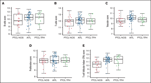 Box plots of cell type scores of AITL, PTCL-NOS, and PTCL-TFH. Scores for (A) B cells, (B) T cells, and (C) vascular, (D) proliferation, and (E) T-cell follicular helper (TFH) cells.