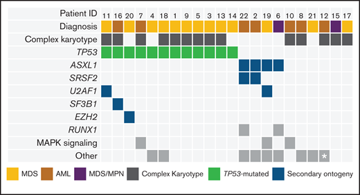 Baseline disease and genetic profiles of study patients. Comutation plot of diagnostic mutations amenable to MRD tracking. Columns represent individual patients, and rows represent clinical variables or the presence of mutation(s) identified at diagnosis or mutations at screening with VAF ≥2%. This VAF cutoff is suggestive of a diagnostic mutation that was not confirmed at diagnosis due to lack of diagnostic sample or technical assay differences. Asterisk represents a BCR-ABL–mutated case (detected by reverse transcriptase polymerase chain reaction).