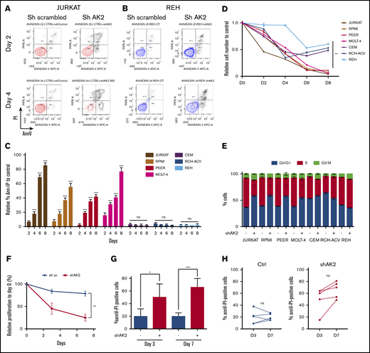 AK2 knockdown induces early and massive apoptosis in T-ALL cell lines but not in B-cell ALL (B-ALL) cell lines. (A-B) Representative FACS graphs showing the percentage of Annexin V (AnnV) and propidium iodide (PI)-positive cells at day 2 (D2) and day 4 (D4) after shAK2 or shScramble transduction in JURKAT (A) and REH (B) cell lines. (C) Percentage of AnnV and PI-positive cells relative to control every 2 days from D2 post-shAK2 transduction to D8 in 5 T-ALL cell lines (red) and 2 B-ALL cell lines (blue). (D) Relative proliferation as a function of time. (E) Analysis of the different phases of the cell cycle (G0/G1, S, or G2/M) at D2 in the shAK2 or shScramble condition after transduction in 5 T-ALL lines (JURKAT, RPMI-8402, PEER, MOLT4, and CEM) and 2 B-ALL lines (REH and RCH-ACV). (F) Relative proliferation to day 0 of five PDX T-ALL samples after transduction by shScramble (black) or shAK2 (red), measured with a CASY cell counter. (G) Percentage of AnnV and PI-positive cells at day 3 (D3) and day 7 (D7) performed on 5 PDXT-ALL samples after transduction by shScramble (black) or shAK2 (red). (H) Comparison of apoptosis induction between AK2-depleted PDX T-ALL (shAK2) and AK2-expressing cells (shsc) at D3 and D7 performed on 5 PDX T-ALL samples. All experiments were made in technical triplicates for cell lines and in technical duplicates for PDXs. *P < .05; **P < .01; ***P < .001. ns, not significant.