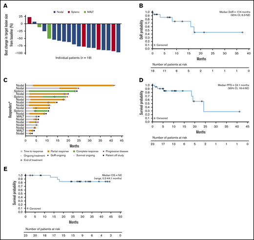 Patient response and efficacy outcomes. (A) Best change in target lesion size by histological subtype. (B) Duration of response. (C) Response in patients achieving a CR or PR. (D) PFS. (E) Overall survival. Median DoR includes censored values for 13 patients, and median PFS includes censored values for 17 patients. The percentage best change in the sum of the diameters of all target lesions from baseline as assessed by the investigator is shown; the best change in target lesion size per the investigator onsite assessment could not be determined in 4 patients. DoR, duration of response; NE, not evaluable; OS, overall survival. *Each bar represents 1 patient.