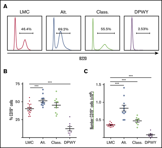 Changes in B cells following activation of NF-κB pathways. (A) Representative histograms of the percentage of B220+ cells in the spleens of mice with the classical (Class.), alternative (Alt.), or both NF-κB pathways (DPWY) constitutively activated under the control of mb1 cre compared with LMC. (B) Summary data of the proportion of B cells in the spleen. (C) Summary data of the number of B cells in the spleen. Data for A-C are from n = 8-17 mice per group, from 3-5 independent experiments; summary data are shown as the mean ± standard error of the mean (SEM). ***P < .001.