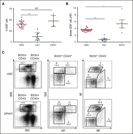 Temporal activation of B cells determines phenotype. Summary data of (A) the proportion of B cells in the spleen and (B) the number of B cells in the spleen of LMC, mb1DPWY, and CD21DPWYmice. Data are from n = 5-17 mice per group and summary data are shown as the mean ± SEM of data collected from 3 independent experiments. (C) Representative plots of bone marrow B-cell development based on the Hardy classification system in LMC and CD21DPWY mice. Data are representative of n = 9 LMC and n = 5 CD21DPWY mice from 3 independent experiments. ***P < .001. NS, not significant.