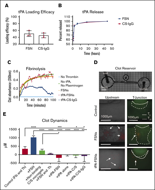 In vitro evaluation of drug release characteristics and clotting under static and dynamic conditions. (A) tPA loading efficacy comparing FSN and CS-IgG particles (n = 3 nanogel samples). (B) tPA release studies comparing FSN and CS-IgG particles (n = 3 nanogel samples). (C) Absorbance-based polymerization-degradation assay with tPA loaded particles (n = 3 clots per condition). (D) In vitro clotting under dynamic conditions in a fluidic device that contained a stationary fibrin clot located in the clot reservoir and that used flow solutions with fibrinogen and thrombin (control) (n = 7 replicates), fibrinogen and thrombin with unloaded FSNs (n = 4 replicates), fibrinogen and thrombin with nonbinding core-shell (CS) nanogels (n = 3 replicates), fibrinogen with unloaded FSNs without thrombin and thus no active coagulation (n = 3 replicates), fibrinogen and thrombin with tPA-FSNs (n = 4 replicates), fibrinogen and thrombin with tPA alone (n = 3 replicates), and fibrinogen and thrombin with tPA loaded into nonbinding CS nanogels (n = 3 replicates) and tPA-C/S-IgG (n = 3 replicates). Alexa-Fluor 488–labeled fibrinogen was used in all fibrinogen solutions and the stationary clot. All nanogels used are fluorescently labeled (rhodamine B), and arrows point to nanogels present in the fluidic device above. Images were taken on an EVOS FL Auto Imaging System at 4× magnification, and the remaining conditions are shown in supplemental Figure 1. The solid line represents the initial clot boundary, and the dotted line represents the clot boundary after 20 minutes of flow at a wall shear rate of 1 s−1, which was used to quantify clot growth. (E) Quantification was performed using ImageJ software. Data are presented as average ± standard deviation. Clot dynamics were analyzed via a 1-way analysis of variance (ANOVA) with a Tukey’s post hoc test using a 95% confidence interval. Fib, fibrinogen; Th, thrombin. *P < .05; ***P < .001; ****P < .0001.