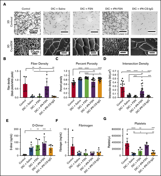 Examination of clotting characteristics and coagulation parameters from a DIC rodent model. (A) Clot formation from control and DIC animals treated with saline, FSNs, tPA-FSNs, or tPA-CS-IgG particles photographed using confocal microscopy (top) and cryoSEM (bottom). A Zeiss Laser Scanning Microscope (LSM 710, Zeiss Inc., White Plains, NY) was used for confocal images. A C-Apochromat 1.2W 63× objective lens was used for 1.89-μm z-stack images, which were analyzed by using ImageJ for making 8-bit 3D projections. (B) Fiber density was quantified by determining the ratio of black (fiber) over white (background) pixels in each binary image (average of 3 images per animal) (n = 5 for all groups). Clot structure was also assessed by using cryoSEM (JEOL 7600F) with a Gatan Alto Cryo-transfer system. Magnification 2500× for all images. (C-D) Quantification was performed by using a DiameterJ plugin for ImageJ software to measure percent porosity (C) and intersection density (D) using cryoSEM images (2 or 3 images per animal; n = 6 control animals; 5 animals for all DIC groups). D-dimer (E) and fibrinogen (F) from plasma samples taken from control animals (n = 6) and DIC animals (n = 4 for DIC + FSN and DIC + tPA-FSN group fibrinogen levels; n = 5 for all other groups). (G) Platelet count was measured for control animals (n = 6) and DIC animals (n = 5 for all groups). All data are presented as average ± standard deviation. Data sets were analyzed via a 1-way ANOVA with a Tukey’s post hoc test using a 95% confidence interval. *P < .05; **P < .01; ***P < .001; ****P < .0001.