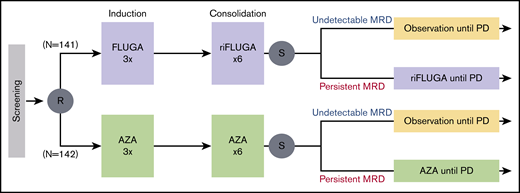 Scheme of the PETHEMA phase 3 FLUGAZA clinical trial. A total of 283 patients were accrued and 78 achieved complete response with or without incomplete blood count recovery (CR/CRi).