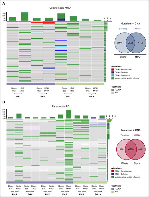 Genomic landscape of CD34 progenitors and leukemic cells at MRD stages. Patients with undetectable (A) (N = 4) and persistent MRD (B) (N = 6) after FLUGA (light purple) or AZA (light green). Genes are distributed in rows, and columns represent paired baseline and phenotypically normal CD34 progenitors (HPCs) in patients with undetectable MRD, or paired diagnostic and blasts in patients with persistent MRD. Venn diagram shows the percentage of mutations and CNAs in blasts or HPCs detectable only at baseline, detectable only at MRD, and detectable in both time points. P value was determined by Pearson χ2 for differences between treatment arms.