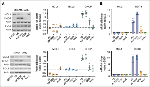 Artemisinins and SOR reduced MCL1 protein, and artemisinins elevated DDIT3/CHOP. MOLM14 and MV4;11 AML cells were incubated for 18 hours with DMSO, AS (10 μM), ART838 (200 nM), SOR (5 μM), or AraC (150 nM). (A) Western blotting was performed for MCL1 (brown circle), BCL2 (blue square), CHOP (green triangle), and housekeeping gene β-actin. Bar graphs summarize the relative fold-change of each protein level by densitometry in drug- vs DMSO-treated (represented by dotted line) cells; means of 3 independent experiments plus or minus SEM. (B) SYBR Green quantitative reverse transcription PCR was performed for MCL1 and DDIT3 mRNA. Cycle threshold values were normalized to housekeeping gene glyceraldehyde-3-phosphate dehydrogenase and fold-change relative to DMSO (represented by dotted line) was graphed; means of 3 independent experiments with triplicate samples plus or minus SEM. Statistical comparisons were performed for drug- vs vehicle (DMSO)-treated cells. *P < .05; **P < .01; ***P < .001; no asterisk if P > .05.