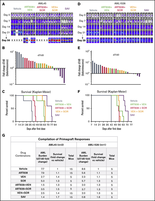 SAV inhibited growth of 2 AML primagrafts. NRG mice bearing luc/YFP-labeled AML45 (A-C) and AML1526 (D-F) primagrafts were performed and data analyzed as in Figure 3. (A,D) BLI of each mouse at each time point in 1 experiment each with AML45 primagraft or AML1526 primagraft model, respectively. (B,E) Waterfall plots depict fold-change in luminescence on day 7 vs day 0 for each mouse, for primagraft experiments using AML45 and AML1526, respectively. (C,F) Kaplan-Meier survival plots for primagraft experiments using AML45 and AML1526, respectively. (C) Comparisons of vehicle vs ART838 plus VEN, vehicle vs ART838 plus SOR, vehicle vs VEN plus SOR, vehicle vs SAV, SAV vs ART838 plus VEN, SAV vs ART838 plus SOR, SAV vs VEN plus SOR all have P < .005. (F) Comparisons of vehicle vs ART838 plus VEN, vehicle vs ART838 plus SOR, vehicle vs VEN plus SOR, vehicle vs SAV, SAV vs ART838 plus VEN, SAV vs ART838 plus SOR, SAV vs VEN plus SOR all have P < .005, by log-rank (Mantel-Cox) test. (G) Aggregated results of 2 AML45 primagraft experiments and 1 AML1526 experiment are summarized. Inverse association between the fold-change (day 7/d 0) in AML burden and fold-change in median survival relative to vehicle for both AML45 and AML1526 were calculated using the Spearman rank correlation coefficient. nd, not done; “X”, mouse death.