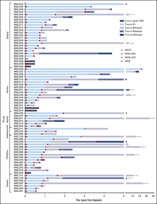 Event timeline of the study cohort. The time from diagnosis to longitudinal events for each patient is shown. Cases are depicted from top to bottom, grouped based on age at onset. Stars indicate occurrence of an allogeneic HSCT. Samples included in the current study as well as the next-generation sequencing method applied are indicated by filled circles (WGS, 90×), open circles (WGS, 30×), and diamonds (WES). Patients in remission at the latest follow-up are indicated with an ellipsis at the end of the respective bar. R1/2/3/4, sequential relapses; HSCT, hematopoietic stem cell transplantation.