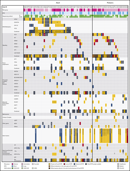 The mutational landscape of R/PR AML. Recurrently altered genes/functional gene groups in all 48 adult and 25 pediatric R/PR AML cases, including evolutional patterns in patient-matched diagnosis and R/PR samples (30 adult and 22 pediatric pairs). Included are recurrent nonsynonymous SNVs and small indels, translocations involving genes commonly altered in AML, and CNAs of whole chromosomes/chromosomal arms detected by WGS and WES. The cases were categorized into risk groups (adverse, intermediate, and favorable) based on the European LeukemiaNet–risk classification2 for adult AML and the NOPHO-DBH AML 2012 Protocol (study registered at EudraCT as #2012-002934-35) for pediatric AML. A short EFS was <0.5 years for adults and <1.0 years for pediatric patients. +, copy number amplification; ¤, copy number deletion; *, CN-LOH; EFS, event-free survival; NGS, next-generation sequencing; D, diagnosis; R, relapse; LOY, loss of chromosome Y. Digits within individual boxes refer to the number of alterations within the gene or the number of altered genes within a functional group at D/R or D/PR; DS, Down syndrome; AB, ABCA12; AR, ARHGAP31; DN, DNAH3; FA, FAT3; NI, NIPBL; NR, NRXN3; RA, RAD21; SF, SF3B3; SM, SMC1A/3; SR, SRSF1/2/6; ST, STAG1/2; SY, SYNE1; U2, U2AF1; ZN, ZNF91; and ZR, ZRSR2. See supplemental Table 12D for details regarding samples included in this figure.