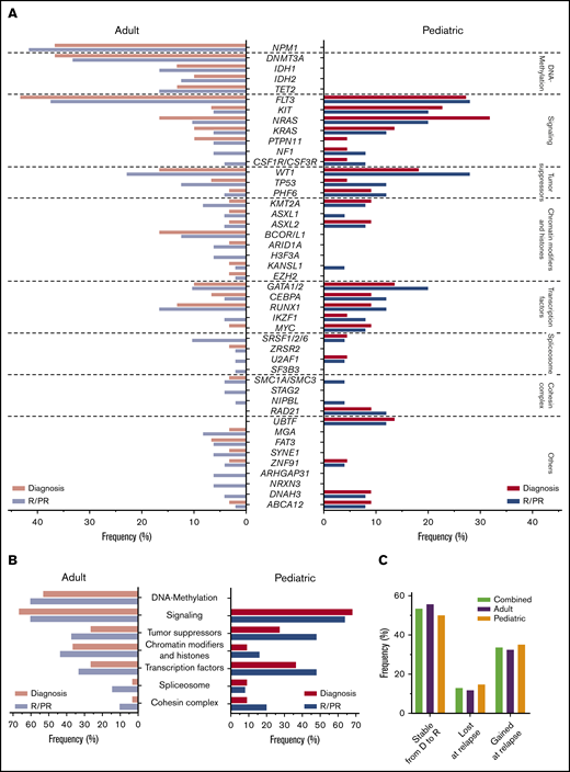 Variant frequencies in R/PR AML. (A) Recurrent SNVs and small indels discovered in the R/PR AML cohort. Displayed are the frequencies of recurrent gene mutations at diagnosis and R/PR stages among all adult (n = 48) and pediatric (n = 25) cases. (B) Mutational frequencies of indicated functional gene groups at diagnosis and R/PR stages in adult and pediatric AML. (C) Variants lost and gained during leukemic progression. Shown are the proportions of protein coding SNVs and small indels identified in the 27 adult and 20 pediatric AML cases (total n = 47) for which patient-matched diagnostic and relapse specimens were available, according to their presence at diagnosis and/or relapse. Total variants, n = 843 (adult, n = 519; pediatric, n = 324). Detailed information regarding samples used for generating this figure is present in supplemental Table 12E-F. D, diagnosis.