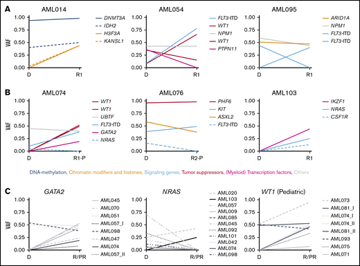 Changes in VAF in longitudinal patient-matched AML samples. (A-B): Distribution of nonsynonymous SNVs and small indels among representative patient-matched longitudinal AML samples from 3 adult (A) and 3 pediatric (B) cases. (C) Changes in VAF between patient-matched diagnosis and R/PR samples for GATA2, NRAS, and WT1. Detailed information regarding samples used for generating this figure is present in supplemental Table 12G. Additional graphs with recurrently altered genes as well as all adult and pediatric patient-matched longitudinal diagnostic and R/PR samples are presented in supplemental Figures 6-8. D, diagnosis; VAF, variant allele frequency.