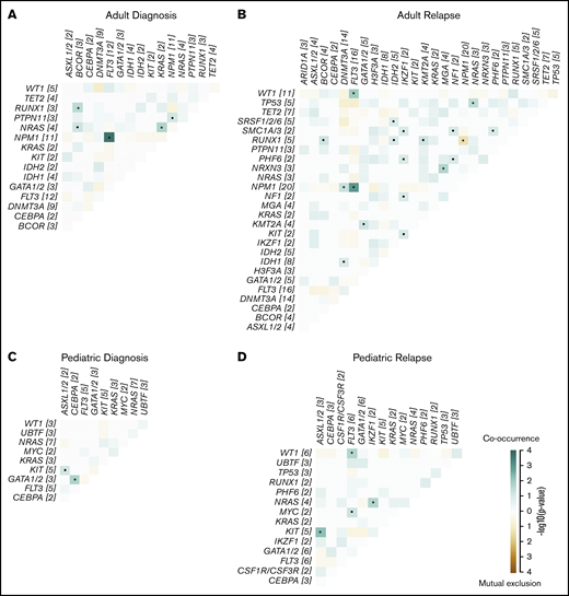 Co-occurrence and mutual exclusion of mutations in recurrently altered genes in relapsing AML. Co-occurrence and mutual exclusion of mutations in adults at diagnosis (A) and relapse (B), and in children at diagnosis (C) and relapse (D). Significance was calculated using a pairwise Fisher’s exact test. •P < .1; *P < .05. The odds ratio (OR) gives directionality, with OR >1 indicating co-occurrence (green) and OR <1 indicating mutual exclusion (brown). The number of mutated cases for each gene is shown in brackets. Detailed information regarding samples used for generating this figure is presented in supplemental Table 12H.