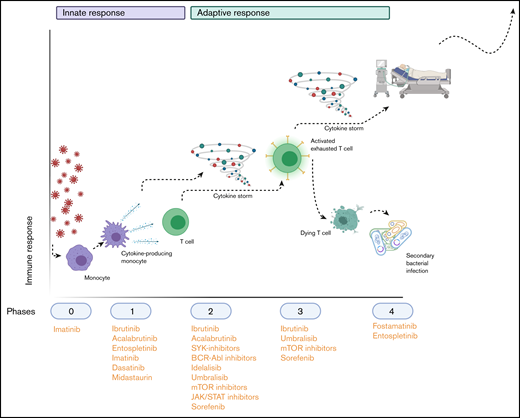 Hypothetical application of TKIs during the SARS-COV-2–induced immunopathology. Phase 0 consists of infection with the virus; phase 1 entails the polarization of macrophages to an M1 phenotype (and their subsequent activation) and their production of cytokines to attract other immune cells. Phase 2 is the recruitment and activation of cytokine-producing innate immune cells and T cells and B cells, which (together with the cytokine storm that results from phase 1) results in phase 3: depletion and exhaustion of lymphocytes and, subsequently, secondary bacterial infections. In phase 4, acute respiratory distress syndrome, secondary infections and multiorgan failure arise, leading to respiratory insufficiency and life-threatening situations. The applicable TKIs are indicated below the phases during which their immunomodulatory effects would be the most beneficial. Image created with Biorender.com.