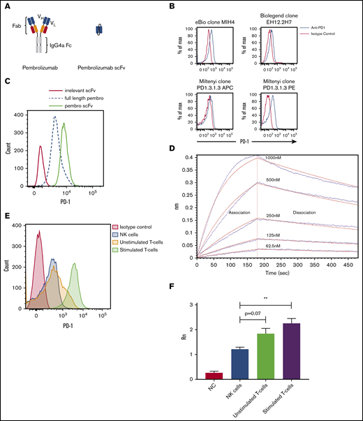 Schematic and binding of anti-PD-1 antibodies on primary NK cells. (A) Pembrolizumab is a complete mAb containing a human IgG4a Fc and 2 PD-1–specific Fab fragments compared with the scFv composed of the VH and VL chains of pembrolizumab connected by a short peptide linker. (B) PD-1 staining of healthy donor NK cells was assessed by using various commercially available antibodies. Shown is a representative example of 10 normal donors. (C) Flow cytometric analysis of PD-1 expression on peripheral blood NK cells from healthy donors is identified by the FITC-labeled pembrolizumab (pembro) or pembrolizumab scFv. (D) Confirmation of pembrolizumab scFv affinity for PD-1 is demonstrated by an Octet binding assay. (E) NK cells and T cells were isolated from healthy donor PBMCs by negative selection. T cells were left unstimulated or stimulated with anti-CD3 or anti-CD28 and IL-2 for 7 days and then stained for PD-1. (F) NK cells and resting and activated T cells were used for qPCR for PD-1 transcripts (n = 3). Error bars indicate the mean ± standard error of the mean (SEM). **P < .01. APC, fluorochrome allophycocyanin; NC, no template control.