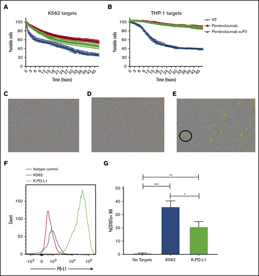 PD-1 blockade enhances NK cell killing of PD-L1–expressing targets, and PD-L1 overexpression suppresses NK function. (A-B) Purified NK cells from peripheral blood of healthy donors were cocultured with CellTrace-labeled K562 (A) or THP-1 (B) in the presence or absence of PD-1 blocking antibodies. (C-E) Visualization of killed targets is shown 24 hours after coculture with THP-1 cells without blockade (C), with pembrolizumab (D), or pembrolizumab scFv (E). Target cell killing was identified by CellTrace and activated caspase-3 and caspase-7 positivity. The killing assay was carried out in an IncuCyte Zoom (IncuCyte) for 48 hours with images taken every 30 minutes (n = 3). Magnification ×4. (F) K562 and K.PD-L1 cells were stained for PD-L1. (G) K562 and K.PD-L1 cells were cocultured for 4 hours with purified NK cells from healthy donors for 4 hours and stained for CD107a (n = 6). Error bars indicate the mean ± SEM. *P < .05; **P < .01; ***P < .001. NT, no treatment.