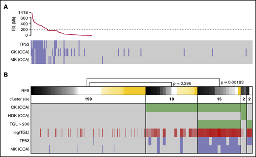 Refining the CKs. (A) TGL, as measured by sWGS, for the 236 intensively treated patients (including 8 APLs) displayed with successively decreasing genomic loss size. TP53 mutational status, as well as CK and MK, as determined by CCA are shown below. (B) The status of 6 factors related to genomic complexity are presented as a heat map for the 236 patients with survival data. Patients (columns) are grouped according to the status of the 3 factors in green: CK and hyperdiploid karyotype (HDK) according to CCA and TGL >200 Mbp by sWGS. TGL is also shown as a continuous value in shades of red; darker shades correspond to higher TGL. TP53 mutation and MK according to CCA are shown at the bottom of the panel (positive cases in blue and negative cases in gray). The top row shows RFS, where relapses or deaths are shown in black/gray (the darker shade represents shorter time to relapse). Patients censored before reaching an event are shown in yellow (the longer the follow-up, the darker the shade). Patients are sorted by survival in each cluster, and P values were calculated using log-rank tests to compare 2 clusters. The width of columns in the first cluster was reduced for better readability.