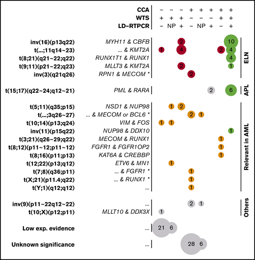Gene fusions found by CCA, WTS, and LD-RTPCR. Each circle represents a set of gene fusions (in rows, possibly multiple fusions per patient) found by a unique combination of techniques (in columns); the size of the circle is proportional to the event count (also shown inside the circle). The combination of techniques for each column is described at the top of the figure: a plus sign (+) implying that the technique found the fusion, a minus sign (−) implying that it did not report the fusion, and NP denoting that the technique was not performed. Fusions are grouped according to their presence in the ELN classification (red), their relevance in AML according to other publications (orange), or their lack of relation to AML (gray). Perfect matches between the performed techniques are shown in green, whereas fusions found only in WTS with low experimental evidence (few supporting reads) and unknown translocations found only in CCA are further grouped at the bottom of the figure. For each fusion or translocation, the cytogenetic ranges considered are presented in bold type, and the fused genes are shown in italics on the left. For fusions found only by CCA, fused genes could only be inferred according to the locus and are marked by an asterisk (*). Nonrecurring or unknown fused genes are denoted as “...”