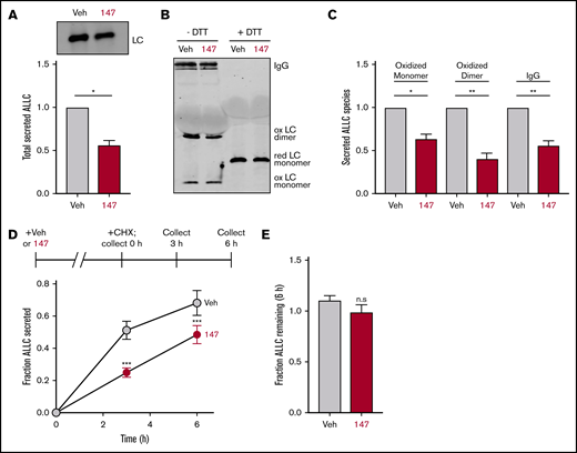 Compound 147 reduces secretion of ALLC from AL patient–derived ALMC-2 cells. (A) Representative immunoblot and quantification of ALLC in conditioned media prepared on ALMC-2 cells treated for 18 hours with vehicle (Veh) or 147 (10 µM). Error bars show standard error of the mean (SEM) for 4 independent experiments. (B) Representative nonreducing (−DTT) and reducing (+DTT) immunoblots of conditioned media prepared on ALMC-2 cells treated for 18 hours with Veh or 147 (10 µM). Fully assembled IgGs, oxidized LC dimers, oxidized LC monomers, and reduced LC monomers are indicated. (C) Quantification of nonreducing immunoblots as shown in panel B showing the relative recovery of oxidized LC monomers, oxidized LC dimers, and fully assembled IgGs. Error bars show SEM for 3 or 4 independent experiments. (D) Graph showing the fraction of ALLC secreted from ALMC-2 cells treated with Veh or 147 (10 µM) for 18 hours and then treated with cycloheximide (CHX; 50 µg/mL) at 0, 3, or 6 hours. ALLC in conditioned media and lysates were measured by ELISA. The experimental protocol is shown above. Fraction secreted was calculated as follows: fraction secreted = ALLC in media at t = 3 or 6 hours/ALLC in the lysate at t = 0 hours. Error bars show SEM for 5 replicates. (E) Graph showing the fraction of ALLC remaining from ALMC-2 cells treated for 18 hours with Veh or 147 (10 µM) and then treated with CHX (50 µg/mL), as in panel D. ALLC in conditioned media and lysates were measured by ELISA. Fraction of ALLC remaining was calculated as follows: fraction of ALLC remaining = (ALLC in media t = 6 hours + ALLC in lysate at t = 6 hours)/ALLC in lysate at t = 0 hours. Error bars show SEM for 5 replicates. *P < .05, **P < .01 (paired Student t test); ***P < .005 vs Veh (unpaired Student t test). n.s., not significant.