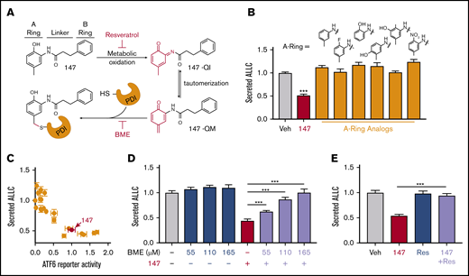 Compound 147 reduces ALLC secretion through a mechanism involving compound metabolic activation and covalent protein modification. (A) Illustration showing the metabolic activation of 147 to a quinone imide (147-QI) and quinone methide (147-QM). These reactive electrophiles covalently modify ER proteins, including multiple PDIs. The A ring, linker, and B ring of 147 are indicated. Specific steps inhibited by resveratrol (Res) and β- mercaptoethanol (BME) are also indicated. Adapted from Paxman et al.39 (B) Graph showing normalized amounts of ALLC in conditioned media from ALMC-2 cells treated for 18 hours with vehicle (Veh), 147 (10 µM), or the indicated 147 A ring analog (10 µM). ALLC was quantified by ELISA. Error bars show standard error of the mean (SEM) for 10 replicates across 2 independent experiments. (C) Plot comparing the normalized activation of an ATF6-selective luciferase reporter in HEK293 cells39 with reductions in ALLC secretion from ALMC-2 cells for 147 (10 µM) or 147 analogs containing alterations to the A ring, linker, and B ring. Error bars for the ATF6 reporter activation show SEM for 3 independent experiments. Error bars for ALLC secretion show 10 replicates across 2 independent experiments. (D) Graph showing normalized amounts of ALLC secretion from ALMC-2 cells treated for 18 hours with Veh or 147 (10 µM) and/or BME, as indicated. ALLC was quantified by ELISA. Error bars show SEM for 10 replicates across 2 independent experiments. (E) Graph showing normalized ALLC secretion from ALMC-2 cells treated for 18 hours with Veh, 147 (10 µM), and/or Res (10 µM), as indicated. ALLC was quantified by ELISA. Error bars show SEM for 9 replicates across 2 independent experiments. ***P < .005 vs Veh (unpaired Student t test; B);*** P < .005 (paired Student t test; D-E).