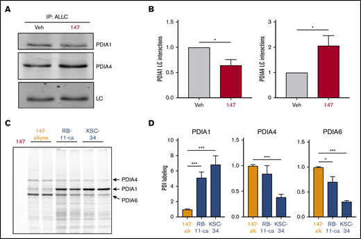 PDI interactions with ALLC are altered by 147 treatment. (A) Representative immunoblot of PDIA1 and PDIA4 in ALLC immunopurifications from ALMC-2 cells treated for 5 hours with vehicle (Veh) or 147 (10 µM). Inputs from this experiment are shown in supplemental Figure 5E. (B) Quantification of PDIA1 and PDIA4 from immunoblots as shown in panel A. The recovery of each PDI was normalized to the recovery of ALLC under each condition, allowing accurate evaluation of the interaction between these 2 proteins. Error bars show standard error of the mean (SEM) for >5 independent experiments. (C) Representative fluorescence gel showing the covalent modification of proteins in ALMC-2 cells treated for 18 hours with 147-alkyne (10 µM), RB-11-ca (30 µM), or KSC-34 (30 µM). Click chemistry was used to incorporate a TAMRA fluorophore onto the alkyne contained in each of these molecules. Cells treated with 147 are shown as control. PDI bands were assigned based on previous mass spectrometric analysis of SDS-PAGE bands excised from identical gels of 147-alkyne–treated ALMC-2 cell lysates.39 (D) Normalized quantification of PDIA1, PDIA4, and PDIA6 labeling from gels as shown in panel C. Error bars show SEM for 4 replicates across 2 independent experiments. *P < .05, **P < .01, ***P < .005 (paired Student t test).