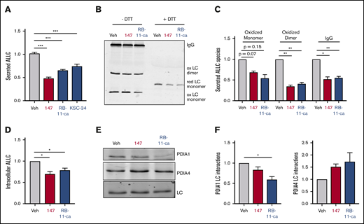 Pharmacologic targeting of PDIs reduces ALLC secretion from ALMC-2 cells. (A) Graph showing normalized ALLC secretion from ALMC-2 cells treated for 18 hours with vehicle, 147 (10 µM), RB-11-ca (30 µM), or KSC-34 (30 µM). ALLC was quantified by ELISA. Error bars show standard error of the mean (SEM) for >9 replicates across >2 independent experiments. (B) Representative nonreducing (−DTT) and reducing (+DTT) immunoblots of conditioned media prepared from ALMC-2 cells treated for 18 hours with vehicle, 147 (10 µM), or RB-11-ca (30 µM). Fully assembled IgGs, oxidized LC dimers, oxidized LC monomers, and reduced LC monomers are indicated. (C) Graph showing normalized quantification of nonreducing immunoblots as shown in panel B for oxidized LC monomers, oxidized LC dimers, and fully assembled IgGs. Error bars show SEM for >2 independent experiments. (D) Graph showing normalized quantification of ALLC in lysates prepared from ALMC-2 cells treated for 18 hours with vehicle, 147 (10 µM), or RB-11-ca (30 µM). ALLC was measured by immunoblotting. Error bars show SEM for 4 independent experiments. (E) Representative immunoblot of ALLC immunopurified from ALMC-2 cells treated for 5 hours with vehicle, 147 (10 µM), or RB-11-ca (30 µM). (F) Normalized quantification of PDIA1 and PDIA4 from immunoblots as shown in panel E. The recovery of each PDI was normalized to the recovery of ALLC under each condition, allowing accurate evaluation of the interaction between these 2 proteins. Error bars show SEM for >2 independent experiments. *P < .05, **P < .01 (paired Student t test); ***P < .005 (unpaired Student t test).