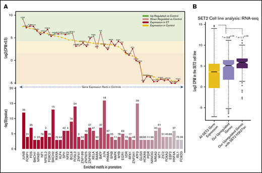 Motif landscape at differentially expressed genes. (A) Plot describes the top 45 motifs enriched at the 310 upregulated gene promoters. The bottom bar plot illustrates the relative enrichment of each motif (–log10 q value), and the number on top of each bar is the percentage of promoters enriched with the motif. The top line plot illustrates the expression of each of the 45 motifs in the HV samples (control) (gold) and the ET population (red). Green dots indicate genes that are significantly upregulated vs HV, and pink dots indicate genes that are significantly downregulated vs HV (control). The highlighted color segments correspond to the expression quantiles (green = highest, yellow = medium, orange = low). (B) Boxplots illustrating the expression levels of genes in the SET-2 cell line. The gold box is the distribution of all SET-2 genes; the pink box is the SET-2 expression levels of the 310 upregulated genes in the ET cohort; and the purple box is the SET-2 expression levels of upregulated genes with high H3k27ac deposition at their promoters. *The Student t test P value when comparing each box vs the expression of all genes (gold box).