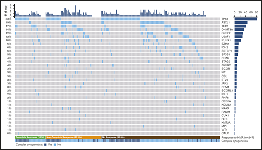 Spectrum of mutations identified in the cohort. Co-mutation plot showing mutations (mut) observed in the cohort; each column represents an individual patient. Mutations are listed in descending order by frequency observed, with the frequency of each mutation on the left and the total number of patients on the right. Patients are organized by response to HMA therapy (bottom), and the presence of complex cytogenetics is listed.