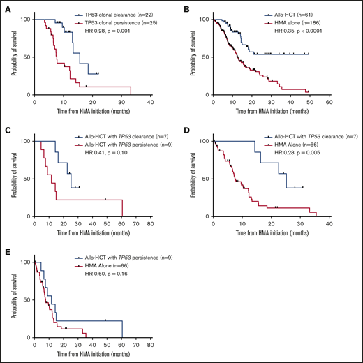 Impact of TP53 clonal clearance on OS with HMA therapy and allo-HCT. (A) Impact of TP53 clonal clearance on OS in all HMA-treated patients undergoing sequential molecular profiling (median OS, 15.6 months with TP53 clearance and 7.7 months with TP53 persistence). (B) OS of all patients within the cohort proceeding to allo-HCT after first-line therapy with an HMA. (C) Impact of TP53 clonal clearance on OS among patients proceeding to allo-HCT (median OS, 25.2 vs 11.7 months, respectively). Comparison of OS among patients proceeding to allo-HCT vs patients receiving HMA therapy alone in those with TP53 clonal clearance before transplant (25.2 vs 7.7 months) (D) vs those with TP53 clonal persistence (11.7 vs 7.7 months) (E).