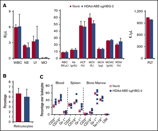 Safety profile. (A) Hematology analysis by Hemavet, using blood samples collected 16 weeks after transduction. Data are means with SD representing 9 mice transduced with HDAd-ABE-sgHBG-2 and 3 nontransduced naive mice (Nontr). (B) Percentage of reticulocytes in blood samples at week 16. The blood smears were stained with Brilliant cresyl blue. (C) Cellular composition of bone marrow mononuclear cells at the terminal point of primary mice. Nontransduced mice were used as the control. Each symbol represents 1 animal. The differences between the groups were not significant.