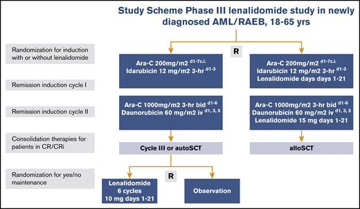 Study schema. Ara-C, cytarabine; bid, twice per day; c.i., continuous infusion; d, day; hr, hour; iv, intravenous; R, random assignment.