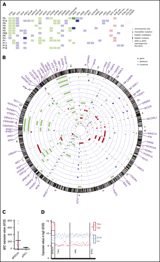 Genetic abnormalities in BPDCN. (A) Mutational profile and key deletions or rearrangements in BPDCN. (B) Circle plot in BPDCN. Blue: biallelic mutation; lavender: monoallelic mutation; lime green: chromosomic loss; green: biallelic invalidation by both chromosome loss and mutation of the other allele; light red: MYC or MYC rearrangement; gray: not done. In the karyogram, deletions are depicted by green bars on the left of the chromosome, gains by red bars on the right of the chromosome, and mutations by blue bars. (C) Expression levels of MYC in BPDCN and pDCs. (D) Expression levels of ETV6 in blue and TCL1A in red on microarrays. High expression of TCL1A and low expression of ETV6 are circled in full line.