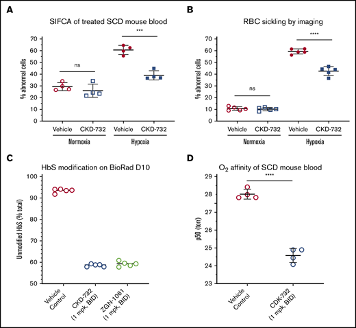 Modification of HbS by MetAP2 inhibition decreases hypoxia-triggered sickling and increases oxygen binding in whole blood RBCs. Townes SCD mice were dosed intraperitoneally for 3 days with the indicated covalent MetAP2 inhibitor or vehicle control, and whole blood was collected to measure HbS modification, hypoxia-triggered RBC sickling, and oxygen affinity (p50). (A) Whole blood from SCD mice dosed with CKD-732 (10 mg/kg, daily) to achieve 50% total HbS modification was evaluated for sickling under hypoxia by SIFCA,29 performed under normoxia (21% oxygen) or hypoxia (4% oxygen) for 2 to 3 hours prior to fixing and quantitating abnormal sickled cells on the Amnis ImageStream Imaging Flow Cytometer. (B) Sickling was evaluated on a PerkinElmer Operetta CLS High-Content Analysis System. Both methods confirm a decrease in hypoxia-driven sickling in whole blood samples from MetAP2 inhibitor–treated mice. Similar results were obtained in ≥3 independent studies for both methods. (C) SCD mice dosed with the indicated covalent MetAP2 inhibitors (1 mg/kg, twice daily) achieved similar high levels of HbS modification, as assessed by loss of the parent HbS peak on a Bio-Rad D-10 Hemoglobin Testing System, consistent with LC-MS analysis of lysed RBCs showing 55% total α-globin modification and 46.5% β-globin modification. (D) Oxygen affinity (p50) determined from RBC OECs in whole blood collected in EDTA. The p50 measured for MetAP2 inhibitor–treated blood samples is significantly lower, and oxygen affinity increased by 3.43 ± 0.24 torr (mean ± standard deviation) or 12.2% compared with vehicle controls. Similar results were obtained in 3 independent studies. ****P < .001, ***P < .005, 2-tailed Student t test. ns, not significant.
