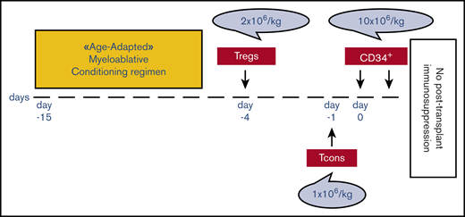 Transplantation schema. Patients received an age-adapted myeloablative conditioning regimen based on TBI, either fractionated (9 fractions delivered twice per day for 4.5 days; total dose, 13.5 Gy) or single dose of 8 Gy with lung shielding, for those age up to 50 years or based on TMLI for those age 51 to 65 years. TMLI was administered by helical tomotherapy in 9 fractions delivered twice per day for 4.5 days. TMLI target volumes were skeletal bones for total marrow irradiation (total dose, 13.5 Gy) and major lymph node chains and spleen for total lymphoid irradiation (total dose, 11.5 Gy). TBI or TMLI were followed by thiotepa (5-10 mg/kg), fludarabine (150-200 mg/m2), and cyclophosphamide (30 mg/kg). After conditioning, all patients received an infusion of 2 × 106/kg donor Tregs on day −4 followed by 1 × 106/kg Tcons on day −1 and a megadose of positively purified CD34+ hematopoietic progenitor cells on day 0. No pharmacological GVHD prophylaxis was administered posttransplantation.