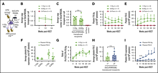 Targeting codon-optimized FIX-Padua expression to highly primed FIXnullmice (the inhibitor model). Both donor and recipient FIXnull mice were immunized with rhFIX at 200 U/kg in the presence of IFA twice with a 3-week interval to induce the development of anti-FIX antibodies. Two weeks after the second immunization, anti-FIX inhibitor titers were determined by Bethesda assay, and anti-FIX total IgG titers were determined by ELISA. Sca-1+ cells isolated from FIX-primed donors were transduced with 2bCoF9R338L LV and transplanted into FIX-primed recipients under either a lethal 11-Gy or a sublethal 6.6-Gy TBI. Four weeks after HSCT, blood samples were collected from various time points for assays. (A) Diagram of experimental design. FIXnull mice with a B6-129S mixed background were used. (B) Average copy number of 2bCoF9R338L proviral DNA per cell in transduced FIX-primed recipients during the study period. The copy number was determined by qRT-PCR. (C) Average copy number of 2bCoF9R338L proviral DNA per cell in each rhFIX-primed recipient. Individual mice were analyzed more than once during the study, and the average copy number was calculated. (D) Platelet-FIX:Ag expression levels in 2bCoF9R338L-transduced FIX-primed recipients during the study period. Platelets were isolated and lysed in 0.5% CHAPS. Platelet-FIX:Ag levels in platelet lysates were determined by ELISA. (E) Platelet-FIX activity (platelet-FIX:C) levels in 2bCoF9R338L-transduced FIX-primed recipients during the study period. Platelet-FIX:C levels in platelet lysates were quantified by a chromogenic assay. (F) Average platelet-FIX expression in 2bCoF9R338L-transduced FIX-primed recipients. Individual mice were analyzed at various time points, and the average FIX expression level was calculated. (G) The ratio of platelet-FIX:C to platelet-FIX:Ag during the study period. (H) Average platelet-FIX:C expression levels in sequential transplantation recipients. Four primary (1°) recipients from the 6.6-Gy group that received 2bCoF9R338L-transduced Sca-1+ cells were euthanized at 63 weeks after HSCT, and BM mononuclear cells isolated from the 1° recipients were transplanted into the 2° recipients that were also primed with rhFIX plus IFA and preconditioned with 6.6 Gy TBI plus bortezomib 1 mg/kg by IV administration. Platelet-FIX:C levels in recipients were monitored. Individual mice were analyzed more than once, and the average FIX expression level was calculated. (I) Sustained FIX expression in the 2° recipients during the study period. Data are presented as mean ± SD. ***P < .001.