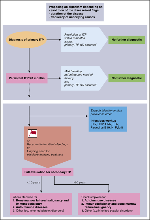 Proposal of a diagnostic algorithm for pediatric secondary ITP and non-IT. Red flags (or risk factors) are defined as female sex, age >10 years, moderate thrombocytopenia >20 × 109/L, positive family history, comorbidities, and nonresponse to first-line treatment. CMV, cytomegalovirus; EBV, Epstein-Barr virus; HCV, hepatitis C virus.